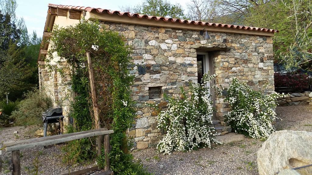 Hotel Domaine Casa Andria Barbaggio Exterior foto